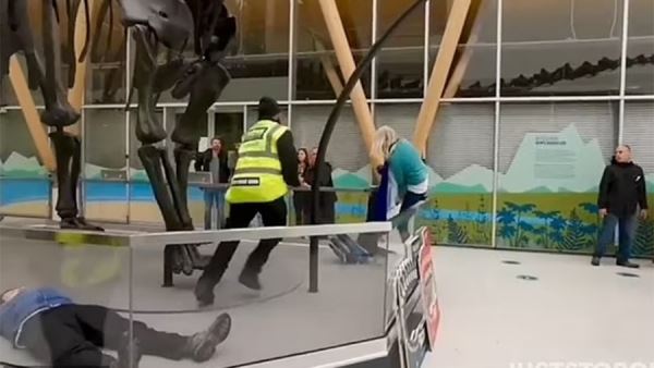 В Британии задержали экоактивистов за нападение на динозавра в музее<br />
